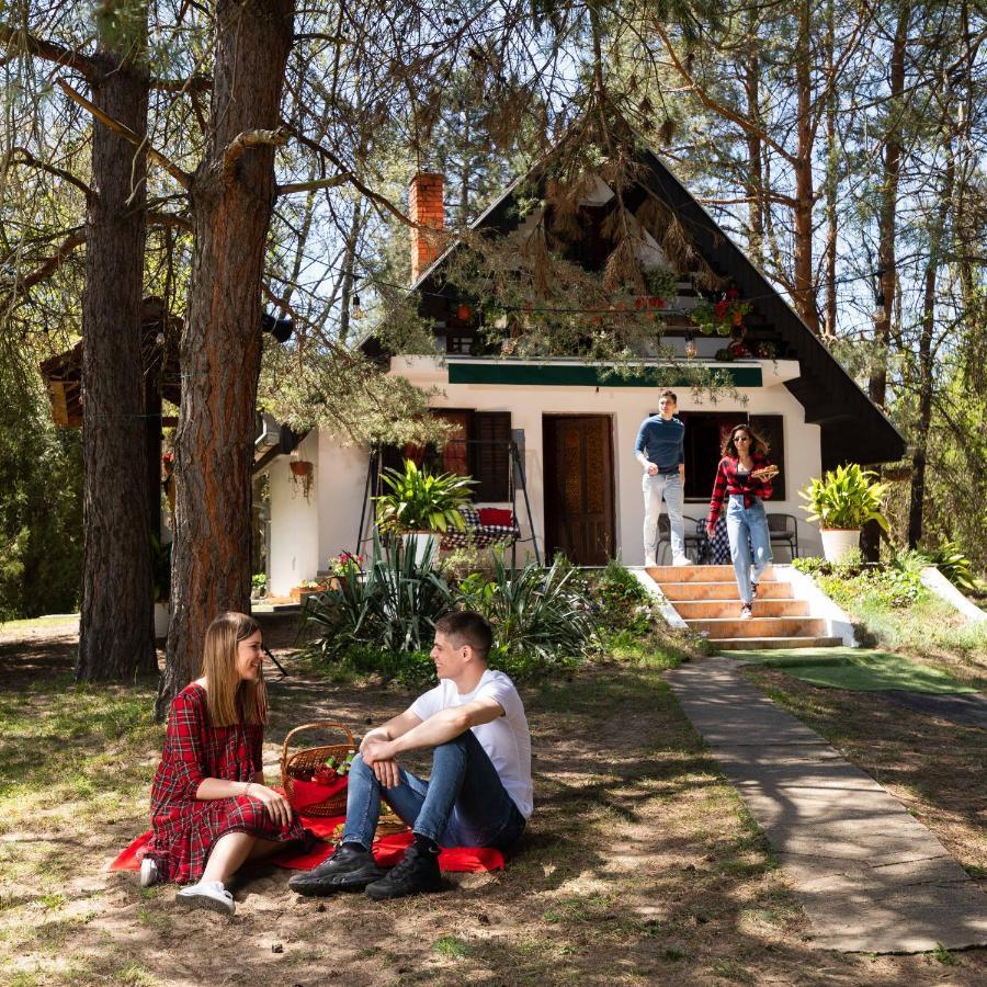 Ladybird Lodge Bela Crkva  Exteriér fotografie