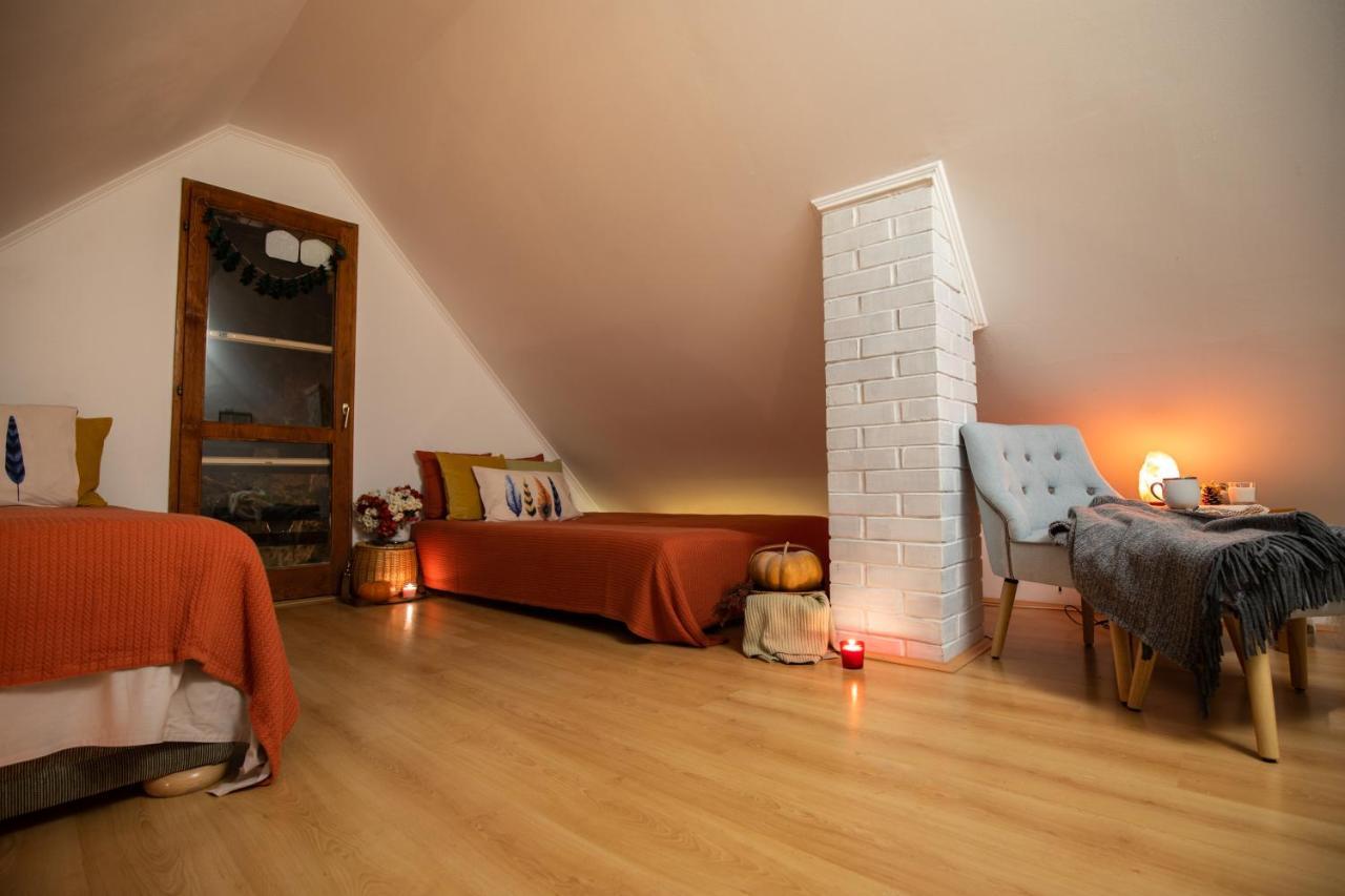 Ladybird Lodge Bela Crkva  Exteriér fotografie